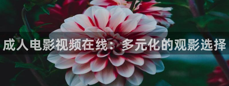 yy4480青苹果影院万利达